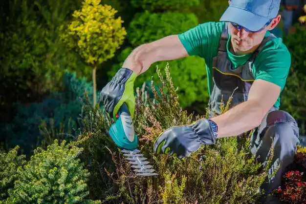 landscaping services Youngsville
